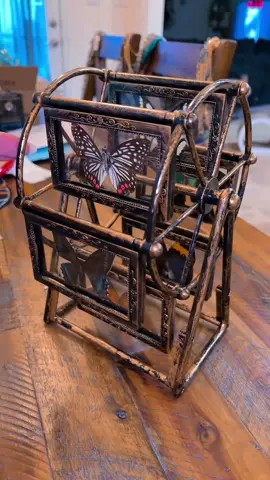 The MOST beautiful butterfly display!!! 🦋 @Half Moon Crystals & Oddities #butterfly #fyp #trending #build #beautifull 