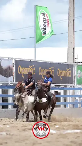 O casal mais perfeito da vaquejada #vaqueira #vaquejada #x1vaquejada #vaquejadabrasil #vaquerama