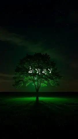لاإله إلا الله ☝️ #لا_اله_الا_الله #Allah #الله  #قران_كريم #quran 