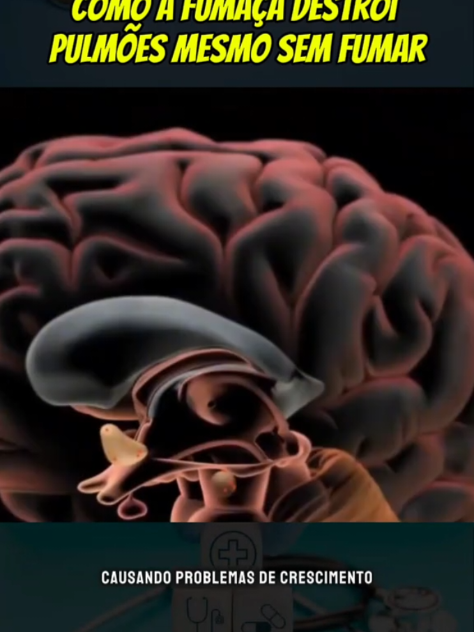 #corpo #bemestar #saude #anatomia #saudemental 