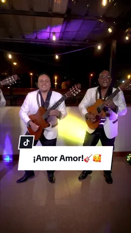 ¡Amor Amor!🎸🥰 #ecuador #losgarles #requinto #musicaecuador #viral
