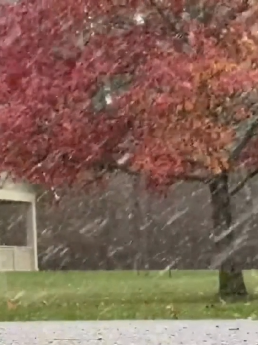 Rain transitioned to snow in parts of Upstate New York over the weekend, and residents in Churchville were graced with winter weather on Sunday. #upstateny #newyork #northeast #snow #fall #FoxWeather