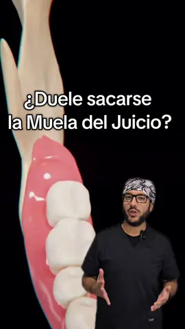 ¿Duele sacarse la Muela del Juicio? 🤔 La extracción NO duele en si, ya que se realiza con anestesia 😊 Luego de la extracción puede llegar a sentirse dolor, cuando se acabe el efecto de la anestesia 😁 Si deseas una extracción profesional escríbenos al Whats 📲 915-230-988  Encuentranos en 📍 Lima - SJL (Alt. Paradero 20 de la Av. Proceres de la Independencia) #muelasdeljuicio  #mueladeljuicio #dolor #odontistas #limaperu🇵🇪 