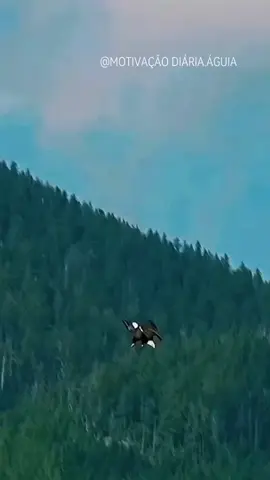 #aguiamotivaçao #motivaçaodiária 
