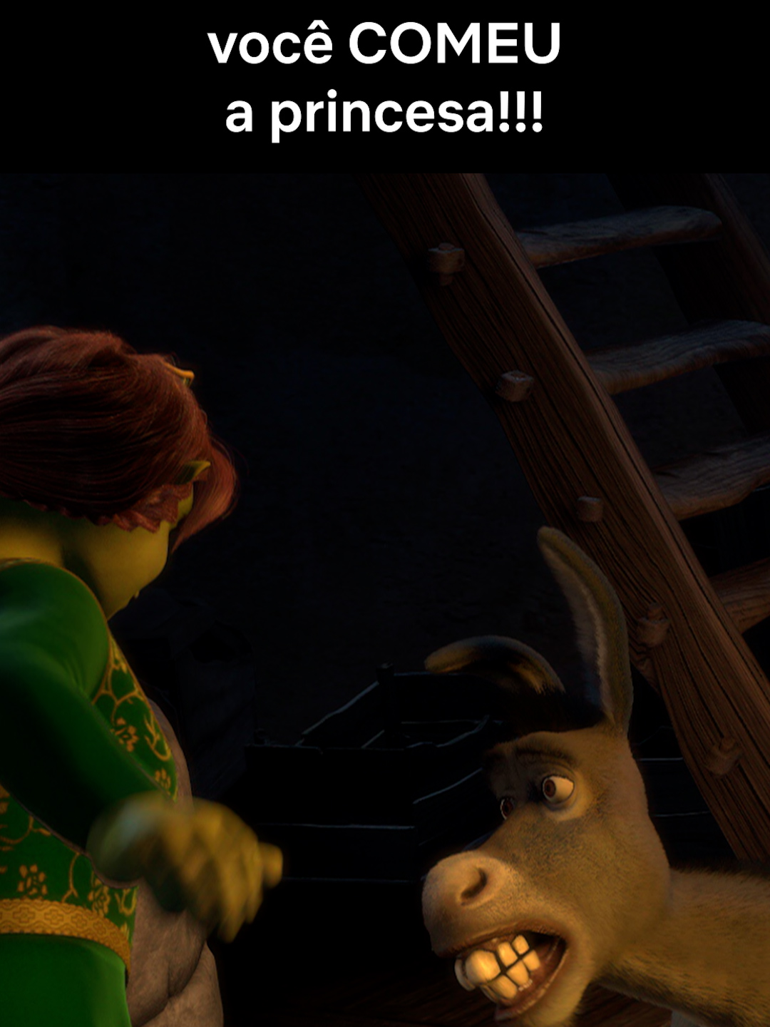 Ela é minha sobremesa… 😋 #shrek #princesa #tiktokmefezassistir #Netflix #NetflixBrasil