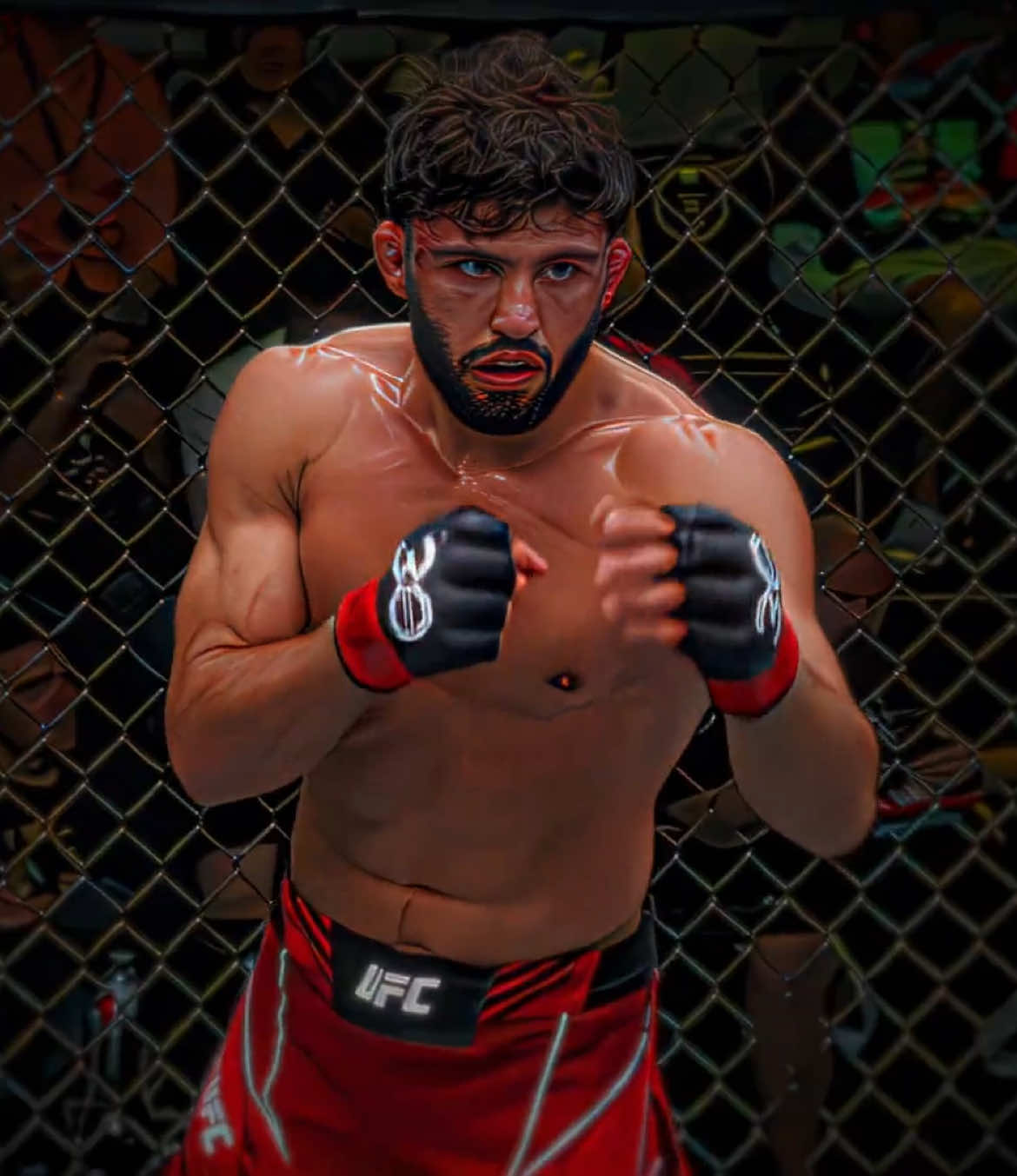 Guys, Honestly, Arman Might Be The Only One Who can Stop Ilia Topuria #ufcqatar #armantsarukyan #armenia #ufcrussia #wrestling 