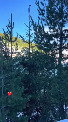 #fyp #viral #foruyou #kosova #gurbeti 