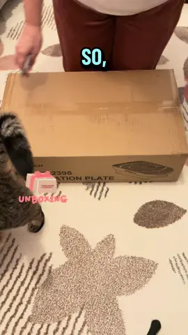 🌙 Die Vibrationsplatte lockert deine Muskeln und trägt zu einer entspannteren Abendroutine bei. Sie unterstützt die Durchblutung und kann zu einem ruhigeren Einschlafen beitragen. 👉 10 Minuten vor dem Schlafengehen – spür den Unterschied. ✨ @Merach DE Sports @Merach Sports  #UnboxYourDeals #tiktokmademebuyit #tiktokshopblackfriday #eveningroutine #selfcarevibes