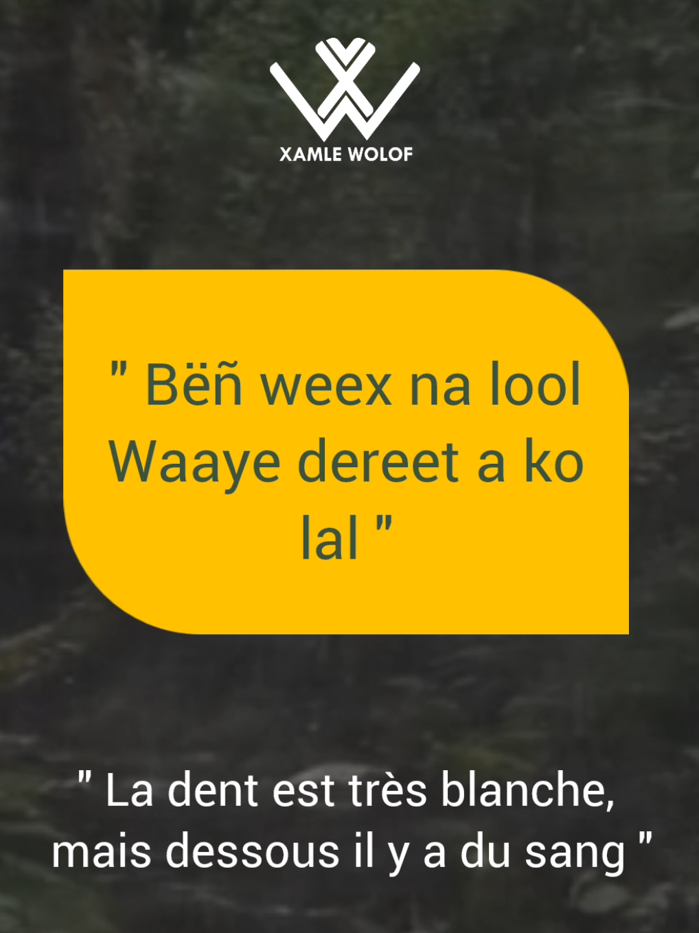 @Taaral Visuel #woloffrancais #wolofndiayenena #wolofamoul #woloflanguagetranslation #ethniewolof 