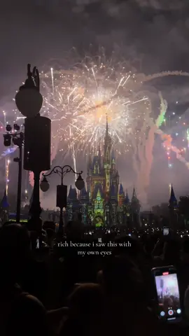 Standing in front of the castle while the sky explodes in fireworks like this… it’s honestly the best feeling in the world. Moments like these are why I keep coming back to Disney — the music, the lights, the crowd going quiet for a second and then cheering. I’m so grateful I get to experience this in person and make these core memories. Credit: not my video, original creator unknown #DisneyWorld #MagicKingdom #disneyfan #DisneyParks #disneyadults 