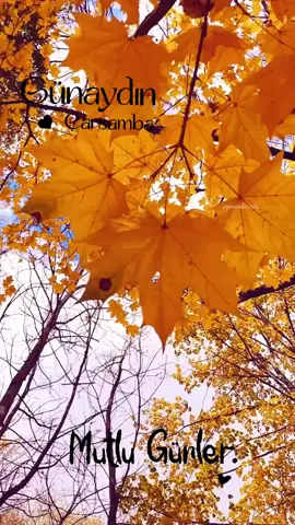 Bugün Günlerden Çarşamba #günaydın #günaydınlar #günaydin #reels #çarşamba 