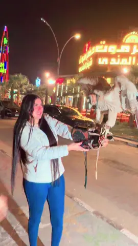 نورت يا سحاب🩷@ام دونا 🦧 @لي لي فؤاد #اكسبلورexplore #مشاهير_تيك_توك 