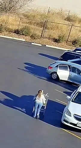 Cachorro enfrenta leoa para salvar mulher em estacionamento. #foryou #viral #aicommunity  #foryoupage #fyp