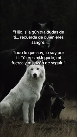 Hijo… tú eres mi fuerza, mi legado y mi motivo para no rendirme. Si también luchas por tu hijo, comenta PRESENTE y deja un ❤️. Comparte este mensaje… quizá otro padre necesite recordar su propósito hoy. . . . . #HijoMiMotor #AmorDePadre #LoboNegro #TeamBlack #FuerzaInterior