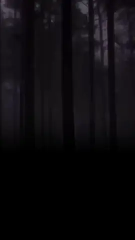 #fyppppppppppppppppppppppp #fyp  @Ryoo Bastian 🫶🫶🫶