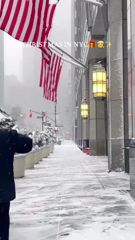 37 Days Until Christmas🎅🎄✨. #newyork #nyc #xmasvibes #travel #christmasinnewyork 