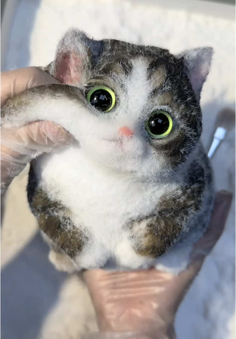 Stress-relief cat#squishy #cat #DIY #handmade #cute #kitty #art #dog 