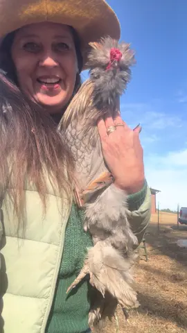 #beaker #silkie #george #clooney #lookalike 