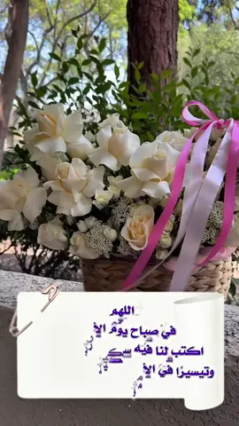 #ستوريات #حالات #صباح_الخير #صباحاتي #يارب 