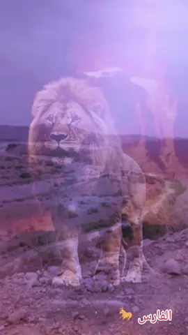 نسموا مزال 😌 ركبة ونص 💚#الشعب_الصيني_ماله_حل😂😂🙋🏻‍♂️ - ركبة ونص 💚 كباد ضنانا 🥰 تمام سيدي 😌 تريندات 🫵 فيديوهات وصور 😂 مشاهدات تعليقات روابط 👏 توك توك 🤔 مشاهير العالم @البَادِيَة|Al-Badiyah 