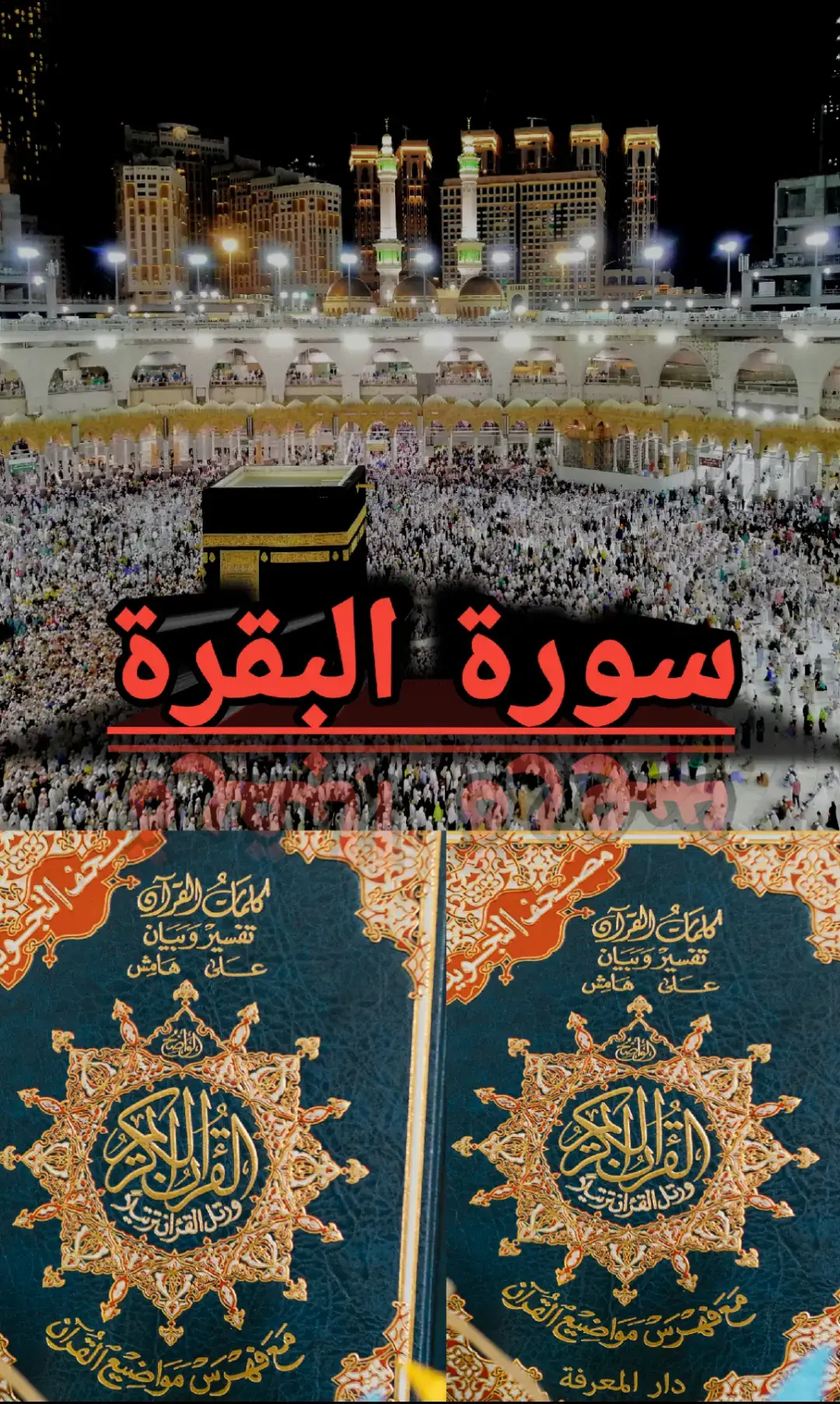 #viral #quran #قرأن #قران #قران 