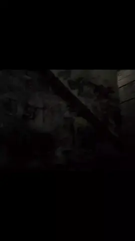 crazed.                                                 #digitalcamera 