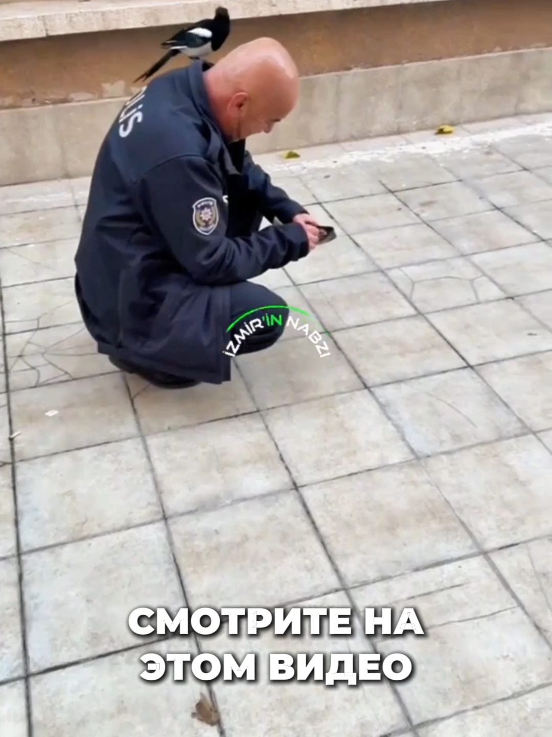 Щедрый полицейский в Турции #турция #новоститурции #внж