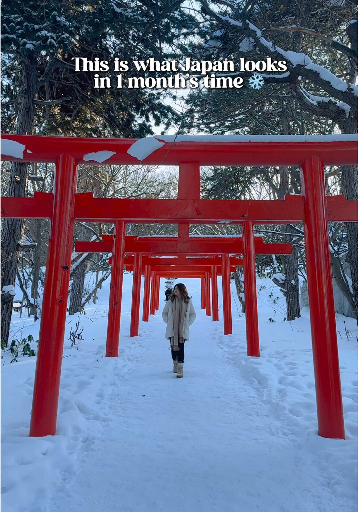 ✨This is your sign to visit Japan in the winter ✨ Japan’s winter season is an underrated but beautiful time to visit, especially seeing snow fall from the sky. This season typically begins mid-late December through late March or early April depending on the location. The peak snow season is from mid-January to late February. ☃️ Japan’s iconic historical sites are less crowded in the winter, so you get to explore places without the crowds. There are also plenty of traditional festivals and winter activities to do, so you will never get bored! Snow in Japan is powdery, which is ideal for winter sports like skiing and snowboarding! ⛷ The weather is sunny and clear, and this is the best time to catch a glimpse of Mt. Fuji with unobstructed views.🏔 There are so many other reasons why you must visit Japan, but let this be your reminder to visit Japan in the winter! ❄️💫 ✨So, who are you going to Japan with in the winter? 🤍✨ Hi, I’m Andrea, and I share travel guides, tips, and inspiration! Follow along for my adventures in Sydney and abroad!✨ • • • • • #winterinjapan #sapporo #shirakawago #explorejapan #japantravel travel destinations, Japan travel guide, Japan travel itinerary, places not to skip in Japan, places you must visit in Japan, places to see in Japan, winter in Japan