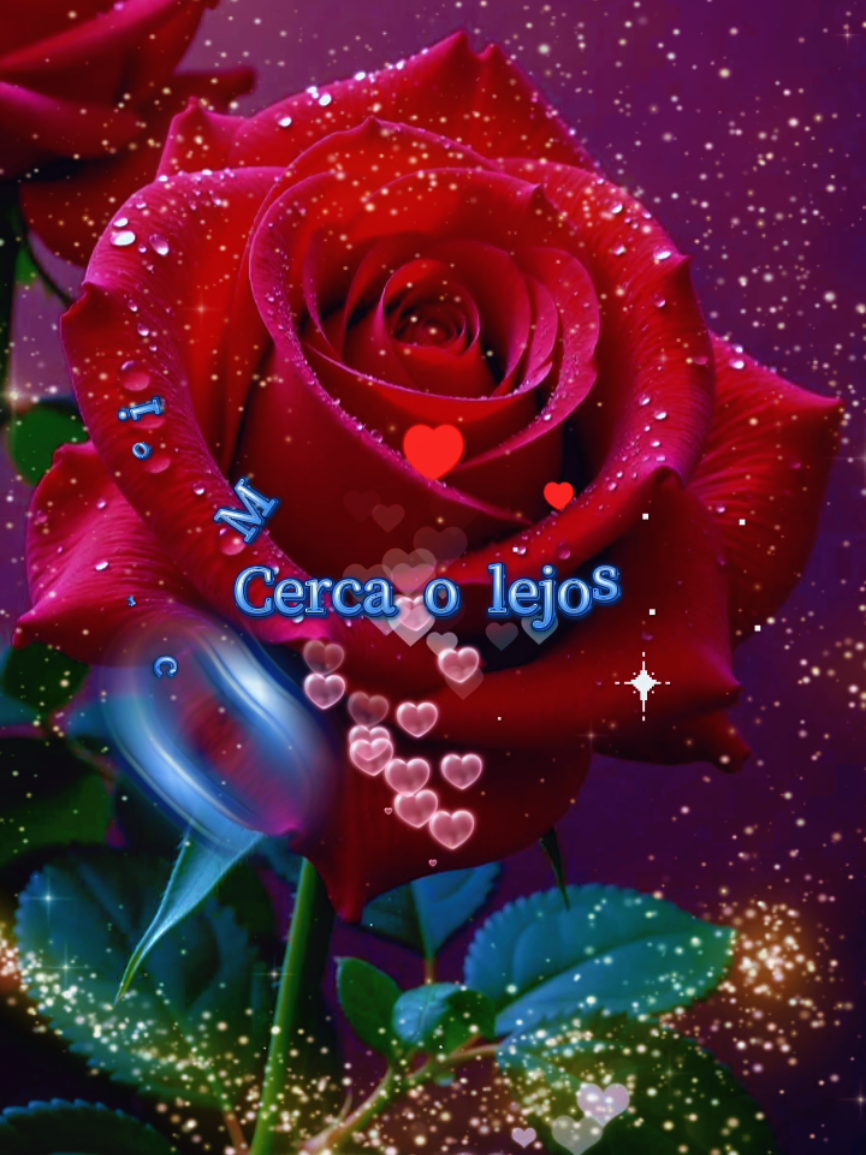 #music #parati #romantica#paradedicar#fraces 