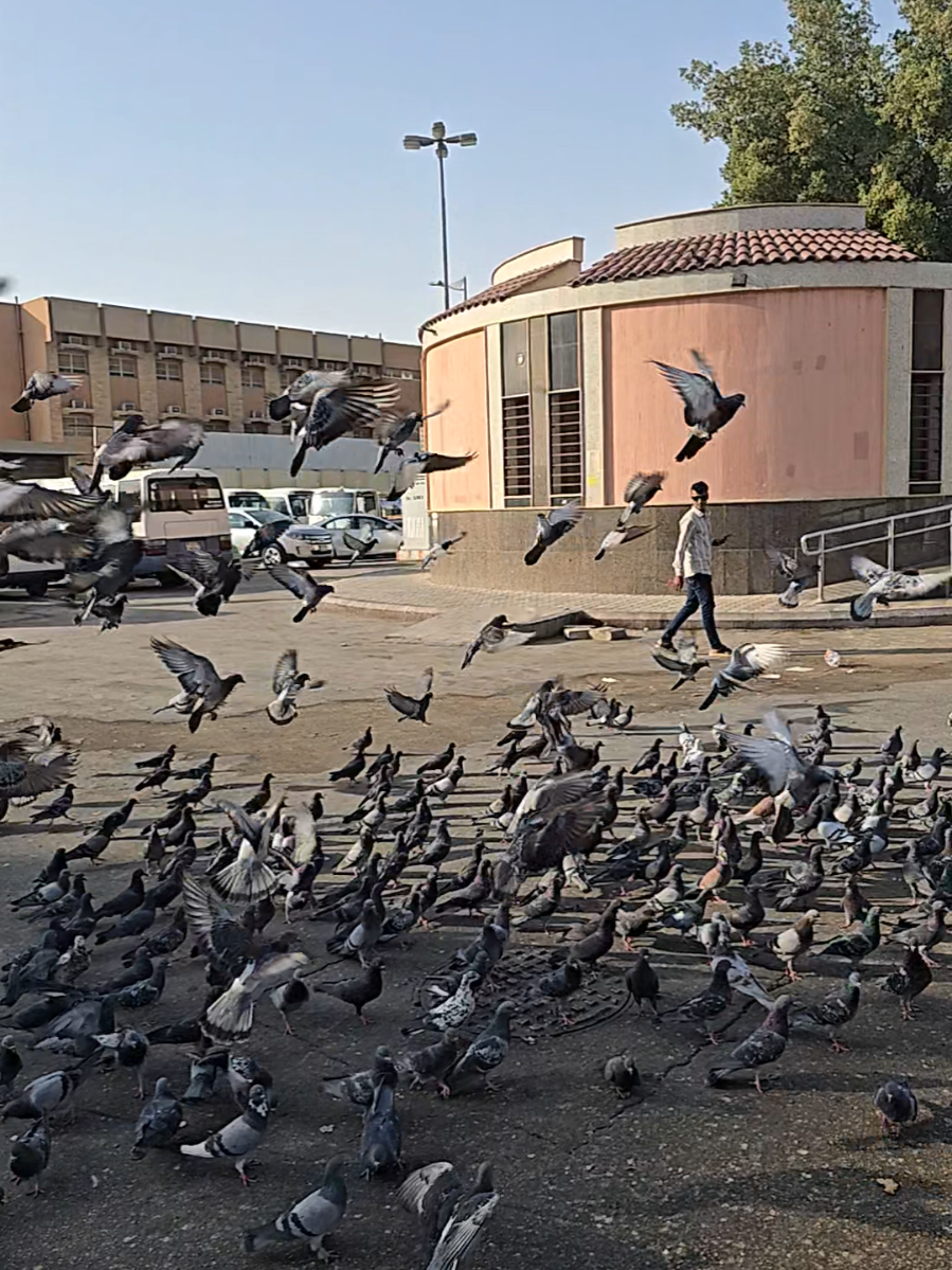 Kanch K khwab 💔💔🥀🥀#creatorsearchinsights #fyp #sadsong #bollywoodsong #foryoupage 