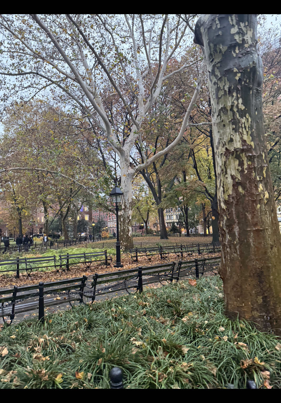 🌃❄️#esposos #fyp #nyc 