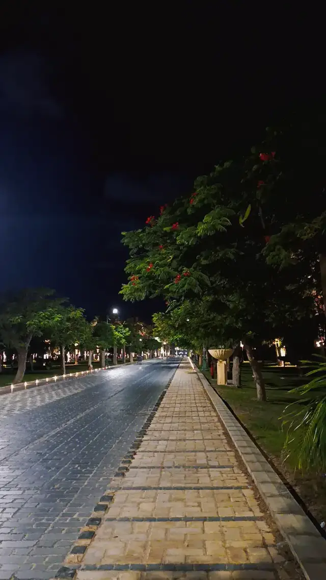 🖤❤️‍🩹#تامر_عاشور #fyppppppppppppp #viral #fyp 