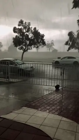 Tempest 🌪️ #tempest #willoughbytuckerillalwaysloveyou #ethelcain #willoughbytucker