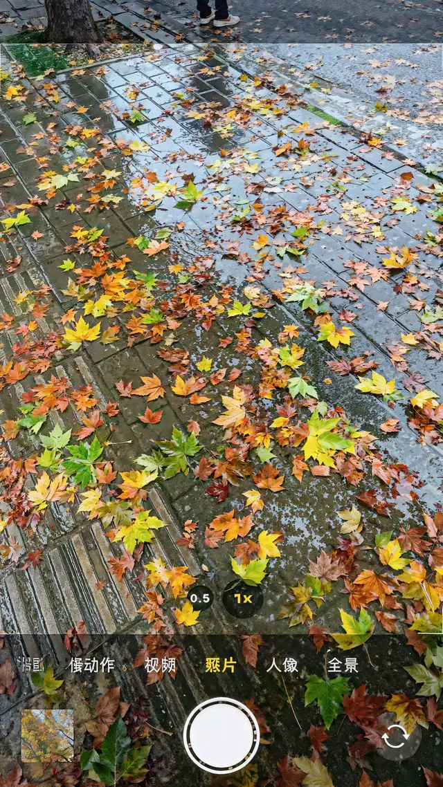 anh sẽ không bao giờ hối hận vì đã yêu em. ban đầu anh nghĩ em xinh đẹp như vậy sẽ có rất nhiều người theo đuổi, nhưng ngày hôm đó anh đã lấy hết can đảm của mình ra để ngỏ lời với em.. anh thật sự cũng không ngờ em lại đồng ý. nhưng đến lúc mọi chuyện kết thúc anh lại vẫn chưa thể biết lí do em lại chọn anh là gì?  anh tự hỏi rằng em đã bao giờ có tình cảm với anh chưa, có bao giờ hối hận vì ngày hôm đó đã chọn anh không?  nhưng bây giờ thì không cần nữa r, khoảng thời gian đó anh đã yêu em bằng cả trái tim, đã yêu em hơn cả bản thân mình, chính em đã dạy anh cách yêu và biết tiếc nuối một người là như nào.  chỉ mong sau này chúng ta có thể gặp nhau và cho anh hỏi một điều rằng tại sao ngày hôn đấy em lại chọn anh được chứ? 𝙣𝙜𝙪̛𝙤̛̀𝙞 𝙖𝙣𝙝 𝙨𝙚̃ 𝙠𝙝𝙤̂𝙣𝙜 𝙗𝙖𝙤 𝙜𝙞𝙤̛̀ 𝙦𝙪𝙚̂𝙣! #fpy #? #Love #anhyeuem 