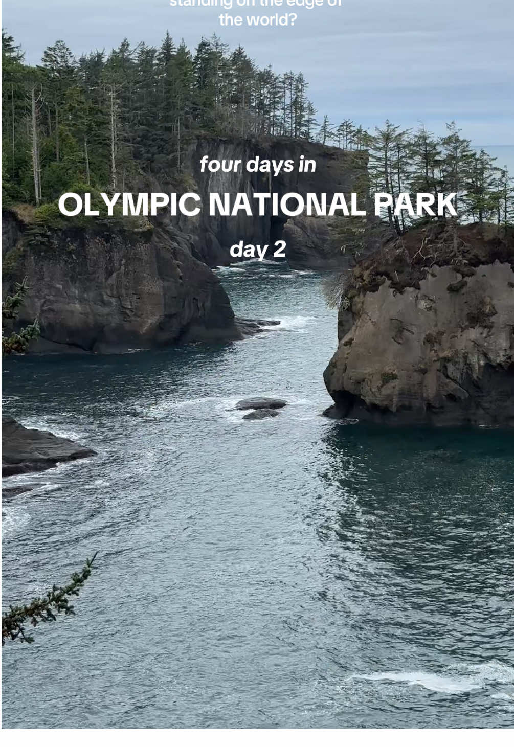 Day two was another dream exploring Olympic National Park. Cape flattery: Washington’s edge of the world 🌎 #olympicnationalpark #washingtonstate #pnwlife #Vlog #capeflattery 