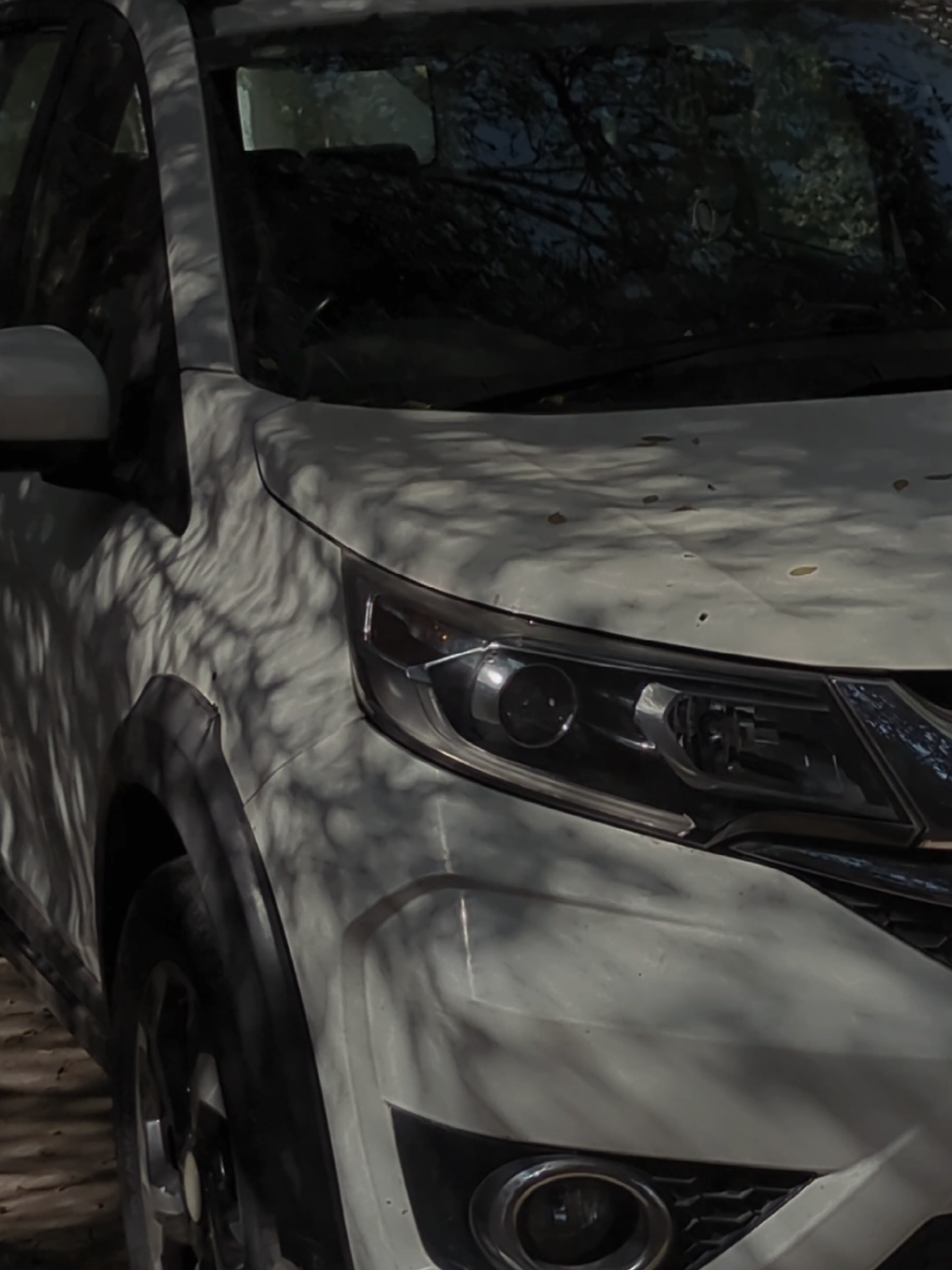 🥀 . . . #creatorsearchinsights #creatorsearchinsights2025 #growmyaccount #unfrezzmyaccount #fypage 