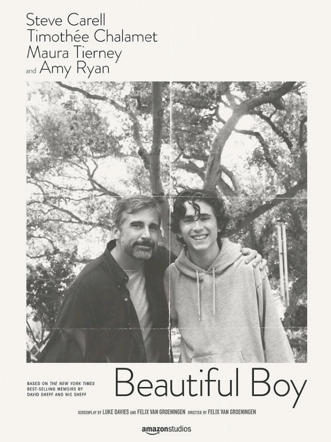 #beautifulboy #foryou #foryoupage #timotheechalamet #frankocean 