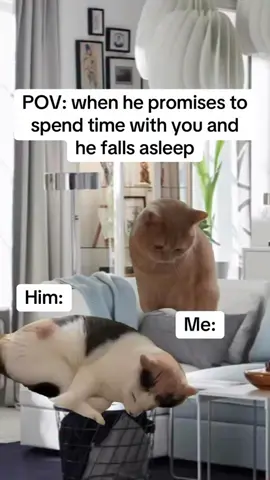 #goviralvideo #fyppppppppppppppppppppppp #trendingvideo #creatorsearchinsight 