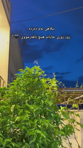 ئەی تۆ چەن جارر سەرت لێ ئەدات؟؟🤍 #kirkuk #karkuk #foryou #fly #وتەی_جوان @🤍DEDAR❗️ 