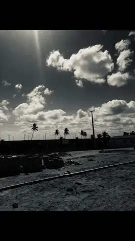 #livephoto #foryoupage #freetouse 