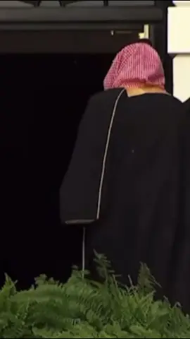 ياملك وابن الملك وجدك ملك🇸🇦💚✨