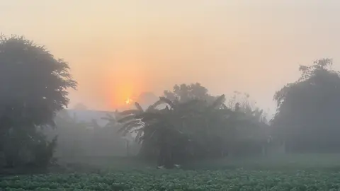 Sáng lạnh có sương mù có chút gió bắc nắng thì ấm Mùa Xuân đến rồi #music #chill #nhachaymoingay #xuhuong #quehuongmientay 