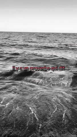 #developpementpersonnel #mindsetpositif #mindset #mentalfort #motivation 