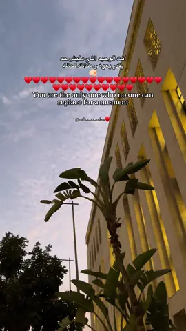 #♥️♥️♥️♥️♥️♥️♥️♥️♥️♥️♥️♥️ 