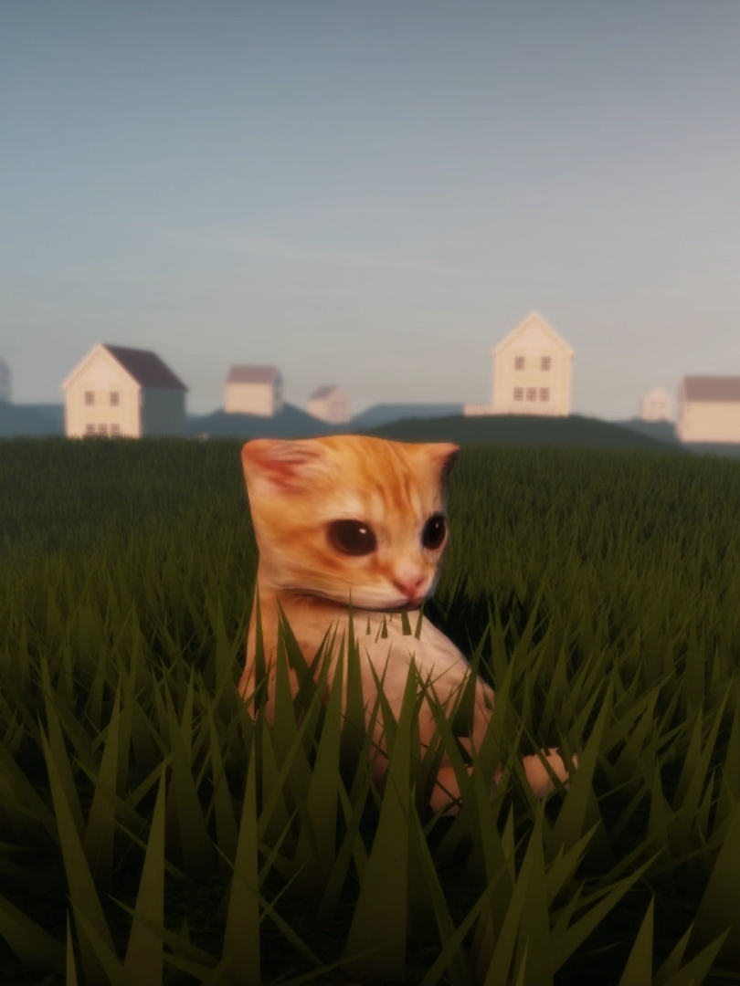 Y hay algunas noches que le dejo ganar. @dillom666  . . #dillom #postmortem #musica #parati #fyp #dillom666 #gatos