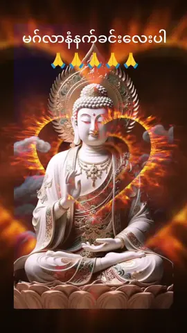 #သတ္တဝါအားလုံးပျော်ရွှင်ချမ်းမြေ့ကြပါစေ  💞💞🙏🙏🙏💞🌹🌹🌹🌹🌹