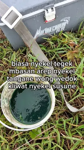 eh ya ampun #populer #fyp #mamcingliar 