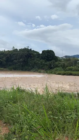 Chào sớm mai em thức dậy