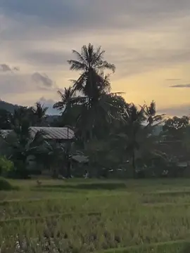 🚀 #anjinglucu #fy #porbi_sumbar #porbijabar #hewanpeliharaan #reels 