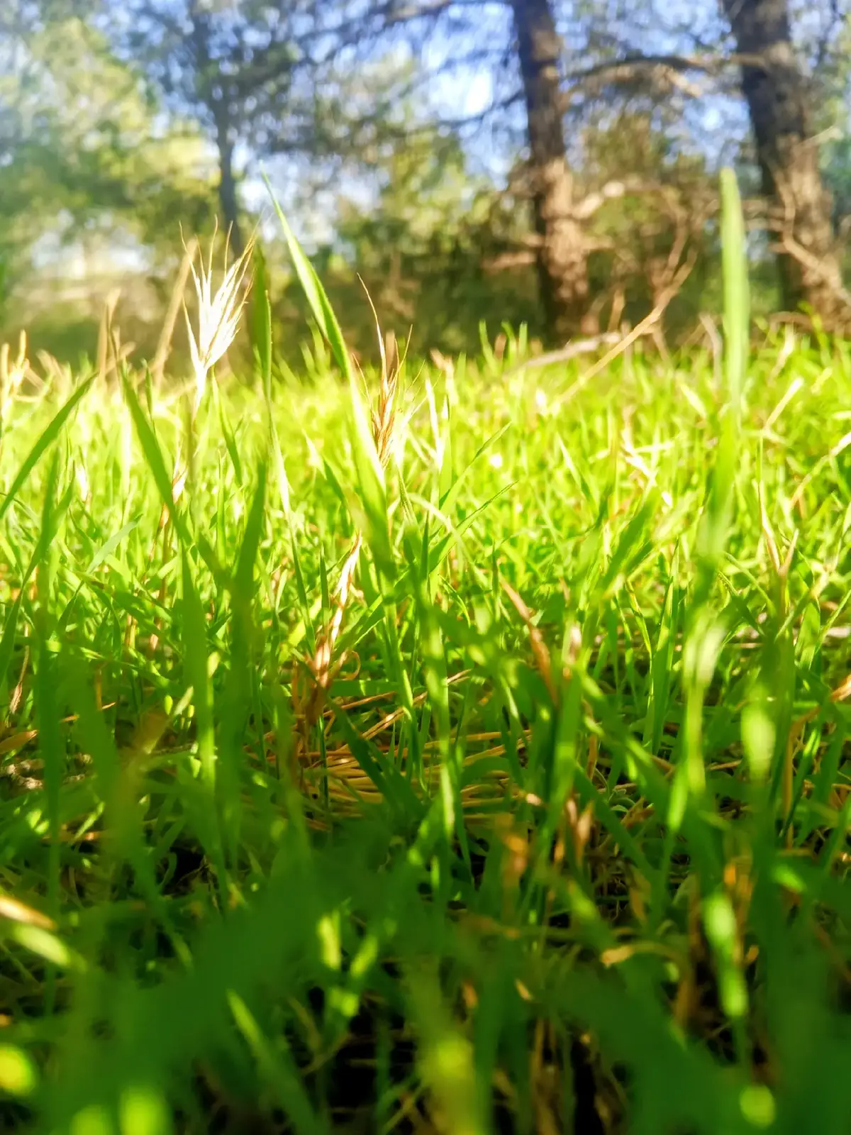 #الجزائر🇩🇿😘تيك_توك_ #الشعب_الصيني_ماله_حل😂😂 